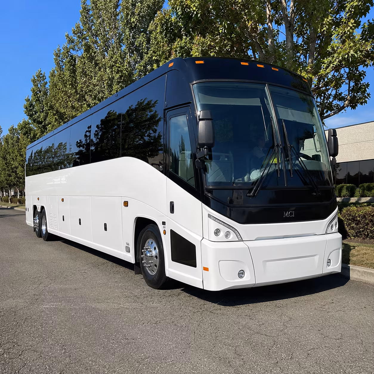 webster charter bus rental exterior